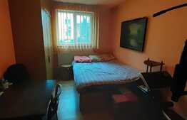 Garsoniera de 26 mp, tip N, zona Rogerius