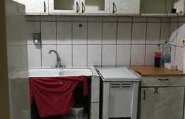 Garsoniera de vanzare, 21 mp, partial mobilata, zona Rogerius