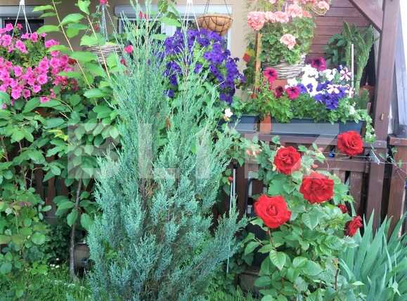 Apartament de vânzare 2 camere Exterior Nord - 80369AV | BLITZ Oradea | Poza5