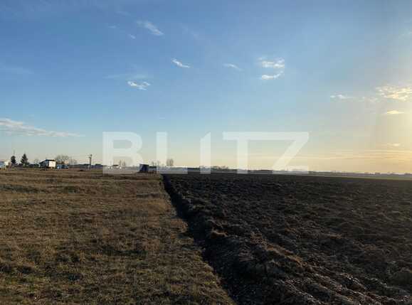Teren de vânzare Exterior Vest - 80560TV | BLITZ Oradea | Poza2