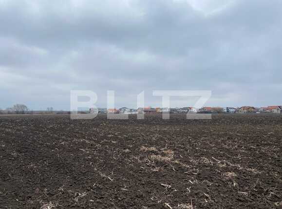Teren de vânzare Sanmartin - 80730TV | BLITZ Oradea | Poza2