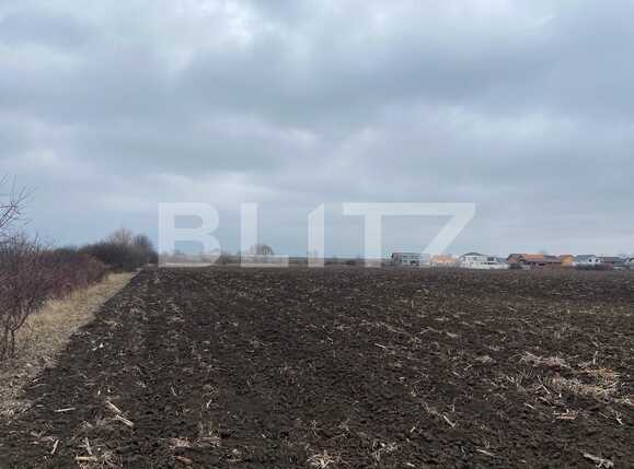 Teren de vânzare Sanmartin - 80730TV | BLITZ Oradea | Poza1