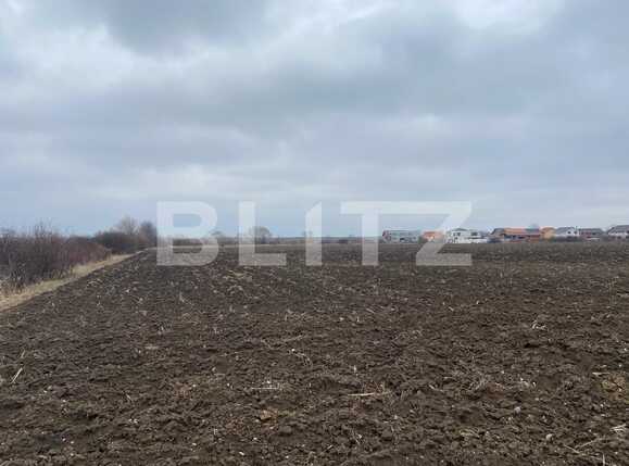 Teren de vânzare Sanmartin - 80730TV | BLITZ Oradea | Poza3