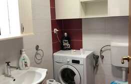 Apartament de 2 camere, loc de parcare, Prima Nufarul