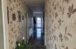 Oportunitate! Casa pe un nivel, 79 mp utili, 500 mp teren, Santandrei