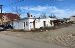 Clădire de 173 mp, teren de 459 mp, cartierul Nufărul