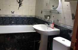 Apartament de 2 camere, 50 mp, zona Decebal