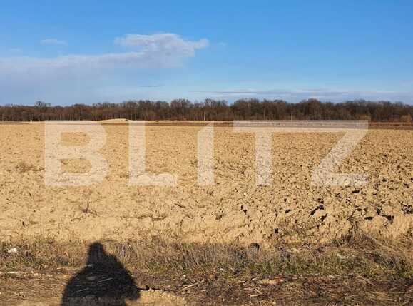 Teren de vânzare Exterior Est - 81392TV | BLITZ Oradea | Poza3