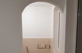 Apartament 2 camere, 26 mp, etaj intermediar, zona Rogerius