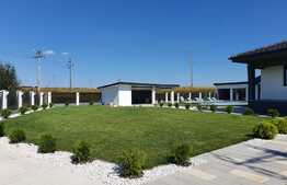 Oportunitate! Casă de 4 dormitoare pe un nivel la 8 minute de oraș 