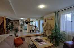 Casa individuala, 196 mp utili, 468 mp teren, zona Iosia