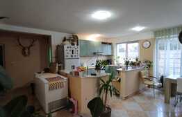 Casa individuala, 196 mp utili, 468 mp teren, zona Iosia