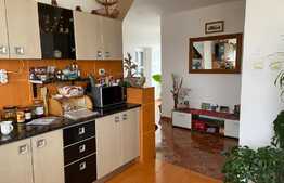 Casa de 286 mp, 882 mp teren, in Nojorid