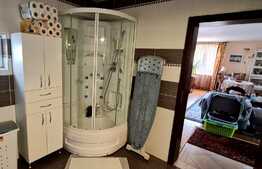 Casa de 231 mp, pe I.C. Bratianu, curte de 40mp