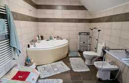 Casa de 231 mp, pe I.C. Bratianu, curte de 40mp