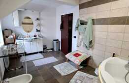 Casa de 231 mp, pe I.C. Bratianu, curte de 40mp