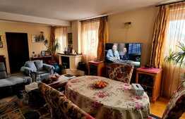 Casa de 231 mp, pe I.C. Bratianu, curte de 40mp