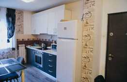 Apartament de 2 camere, 40 mp, etaj intermediar, zona Rogerius