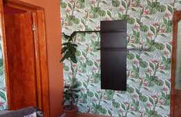 Apartament de 3 camere, 55 mp, balcon, Rogerius