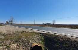 Teren industrial de 3000 mp în Nojorid