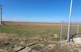 Teren industrial de 3000 mp în Nojorid