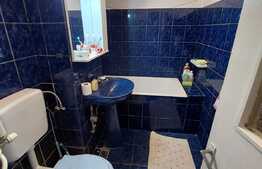 Apartament de 2 camere, spatios, zona Nufarul