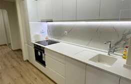 Apartrament de 3 camere, decomandat, lux, parcare, zona Nufarul!