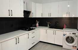 Casa de 80 mp, proaspat renovata cu 3600 mp teren, in Santaul Mic