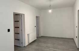 Casa de 80 mp, proaspat renovata cu 3600 mp teren, in Santaul Mic