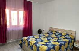 Casa de 80 mp, proaspat renovata cu 3600 mp teren, in Santaul Mic