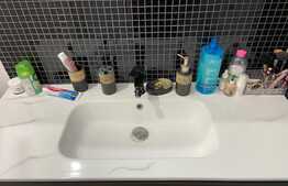 Casa de 80 mp, proaspat renovata cu 3600 mp teren, in Santaul Mic