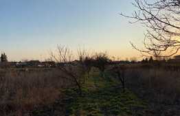 Casa de 80 mp, proaspat renovata cu 3600 mp teren, in Santaul Mic