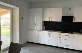 Casa de 80 mp, proaspat renovata cu 3600 mp teren, in Santaul Mic