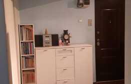 Apartament de 3 camere decomandat, dubla orientare, zona Nufarul