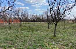 Casa 5 camere în Tărian cu teren de 1400 mp