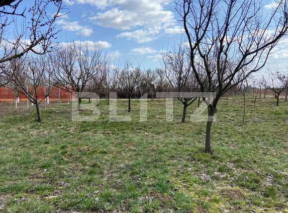 Casa de vânzare 5 camere Palota - 83416CV | BLITZ Oradea | Poza14