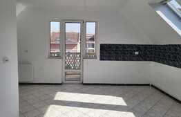 Casa cu etaj, 400 mp utili, zona Gheorghe Doja