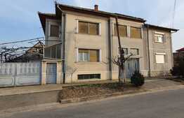 Casă de 540 mp pentru pensiune în Sânmartin