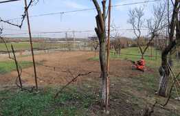 Casă de 540 mp pentru pensiune în Sânmartin