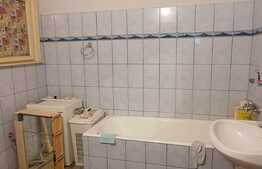 Casă de 540 mp pentru pensiune în Sânmartin