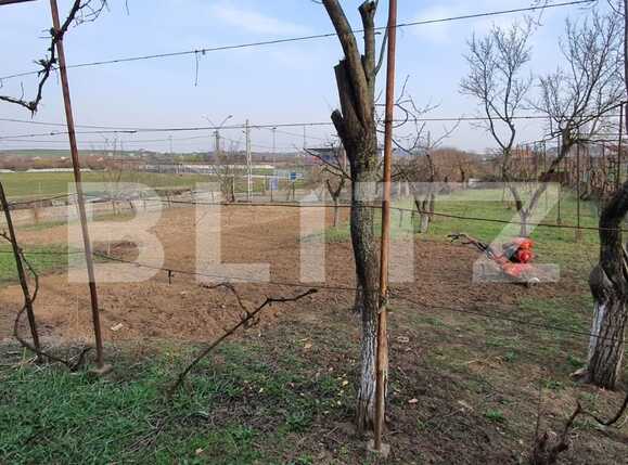 Casa de vânzare 6 camere Est - 83720CV | BLITZ Oradea | Poza7