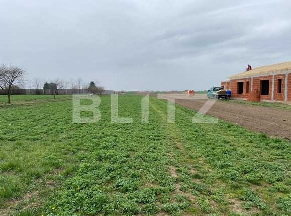 Teren de vânzare Exterior Sud - 83749TV | BLITZ Oradea | Poza2