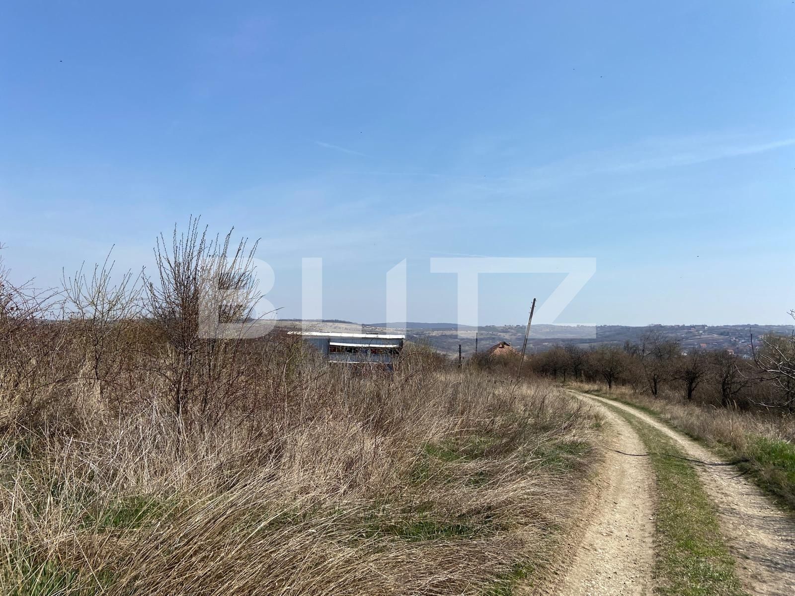 Teren de vânzare Dealuri Oradea - 83758TV | BLITZ Oradea | Poza6
