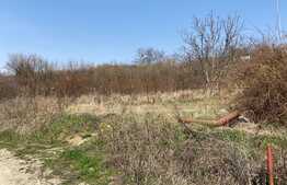 Teren de 1202 mp in zona Podgoria