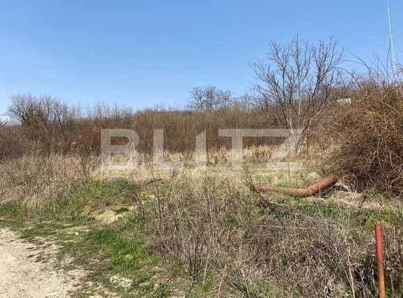 Teren de vânzare Podgoria - 83762TV | BLITZ Oradea | Poza3