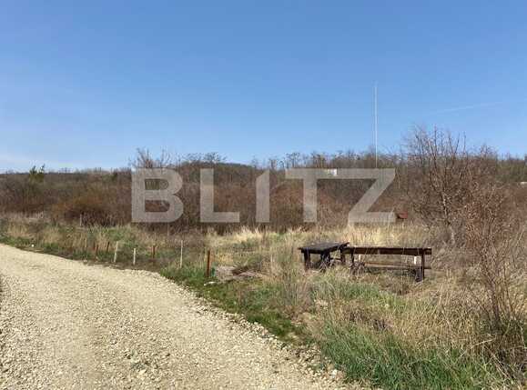 Teren de vânzare Podgoria - 83762TV | BLITZ Oradea | Poza1