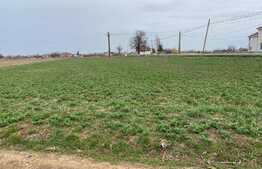 Teren intravilan de 3030 mp la 15 minute de Oradea