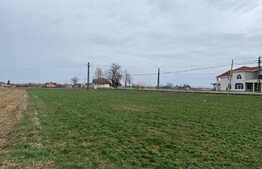 Teren intravilan de 3030 mp la 15 minute de Oradea