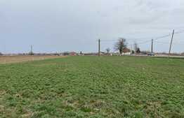 Teren intravilan de 3030 mp la 15 minute de Oradea