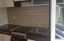 Apartament de două camere, 55 mp, etaj intermediar, zona Rogerius